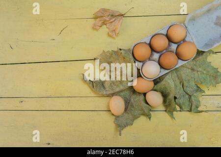 Ansicht von oben von braunen Hühnereiern in einem offenen Eierkarton isoliert auf gelb. Frische Hühnereier Hintergrund. Draufsicht mit Kopierbereich. Natürlich gesund Stockfoto