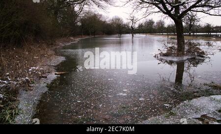 Bäume in den Obstgärten am Alten Rhein spiegeln sich In der teilweise gefrorenen Flut Stockfoto