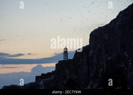 Bass Rock Lighthouse, Bass Rock Gannet Colony, Firth of Forth, Schottland Stockfoto