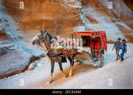 Beduinen reiten Pferdekutsche in der Siq, Petra, UNESCO-Weltkulturerbe, Jordanien. Outer Siq Yellow Canyon Morgenwanderung Zum Eingang Nach Petra Jo Stockfoto