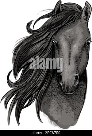 Schwarzes Stutenpferd Symbol des skizzierten Rennpferdekopfes mit langer Mähne zur Seite gefegt. Pferdesportverein, Pferderennen oder T-Shirt-Print-Design Stock Vektor