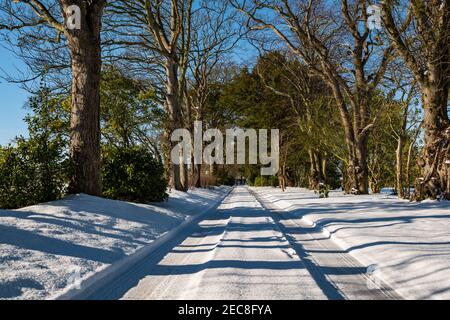 Von Bäumen gesäumte gerade Landstraße mit Reifenspuren im Schnee an sonnigen Tagen, East Lothian, Schottland, Großbritannien Stockfoto