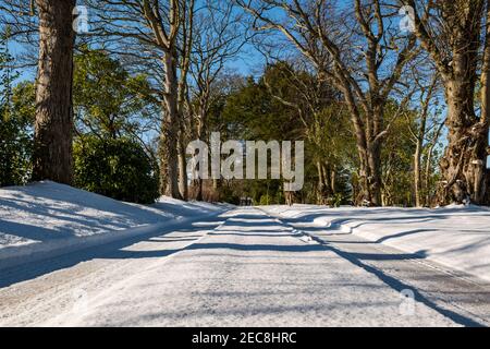 Von Bäumen gesäumte gerade Landstraße mit Reifenspuren im Schnee an sonnigen Tagen, East Lothian, Schottland, Großbritannien Stockfoto