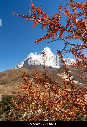 Herbst in den Bergen, Ama Dablam Gipfel im Hintergrund, Himalaya in Nepal, Trekking zum Everest Base Camp, Expedition zum Amadalam Stockfoto