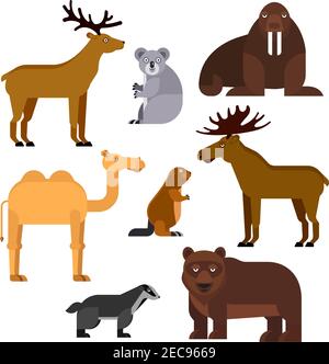 Wilde Tiere flache Cartoon isolierte Symbole. Vektor Zoo Embleme von Walross, Koala, Kamel, Elch, Biber, Bär, Hirsch, Dachs für Infografik, Kindergarten lo Stock Vektor