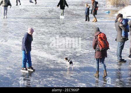 Amsterdam, Niederlande. Februar 2021, 13th. Am 13. Februar 2021 in Amsterdam, Niederlande, genießen die Menschen den gefrorenen Kanal im Rembrandt Park. Der niederländische Ministerpräsident Mark Rutter fragte die Menschen während der Pressekonferenz am vergangenen Freitag nicht brechen die Maßnahmen gegen Covid-19 auch auf dem Eis, das Virus ist nicht weniger infektiös auf Eis. (Paulo Amorim/Sipa USA) Quelle: SIPA USA/Alamy Live News Stockfoto