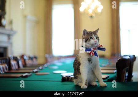 Datei Foto vom 28/4/2011 von Larry, die 10 Downing Street Katze, sitzt auf dem Kabinetttisch trägt eine British Union Jack Fliege vor der Downing Street Street Straßenparty.. Großbritanniens Chef mouser feiert 10 Jahre lang die Korridore der politischen Macht in der Downing Street Nummer 10. Ausgabedatum: Samstag, 13. Februar 2021. Stockfoto