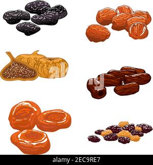 Set mit getrockneten Früchten. Isolierte Vektor-Ikonen von Rosinen, Datteln, Feigen, Aprikosen, Pflaumen, Pflaumen. Süße und Dessert-Snacks Stock Vektor