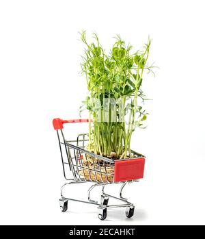 Microgreens im Warenkorb isoliert auf weiß. Microgreens zum Verkauf. Vitamine aus der Natur. Veganer und gesunder Superfood-Lieferservice. Frische Öko f Stockfoto