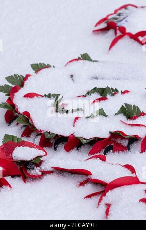 Remembrance Day Mohnblumen im Winterschnee Stockfoto