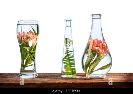 Schneiden Sie Blumen und tropische Pflanzen in einem Glas Wasser Auf einem Scheunenholztisch auf weißem Hintergrund Stockfoto