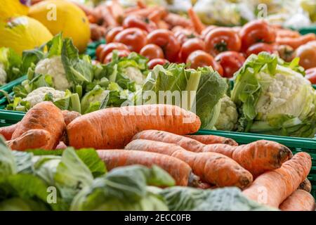 Karotten und Kohl auf dem Bauernmarkt, frische und gesunde Lebensmittel, Obst und Gemüse. Stockfoto