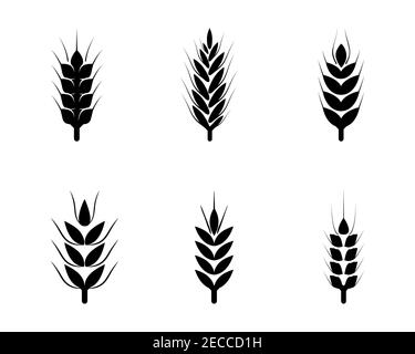 Schwarze abstrakte Weizenohren handgezeichnet Set. Stock Vektor