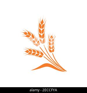 Symbole für Weizenohren eingestellt. Vektorgrafik isoliert auf weißem Hintergrund. Stock Vektor