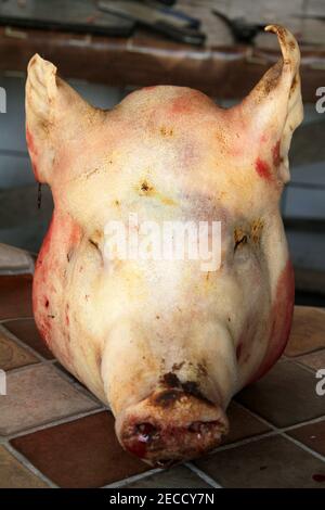 Schlachten eines Schweins auf dem Land Rumäniens. Nahaufnahme des Kopfes des Schweins nach dem Singen und Abkratzen. Stockfoto