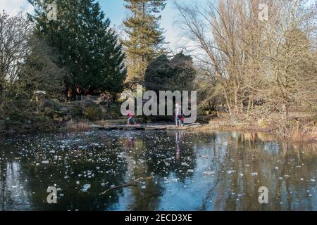 Die Menschen überqueren die Trittsteine zwischen einem gefrorenen eisigen See im Botanischen Garten in Cambridge Stockfoto