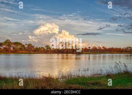 Webb Lake in Fred C. Babcock/Cecil M. Webb Wildlife Management Area in Punta Gorda Florida USA Stockfoto