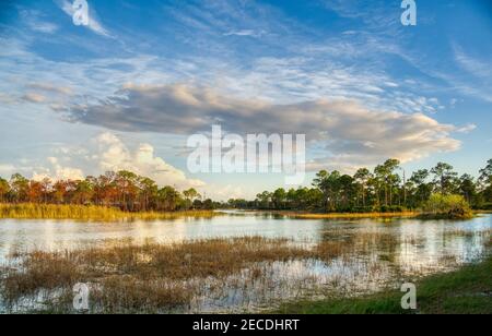 Webb Lake in Fred C. Babcock/Cecil M. Webb Wildlife Management Area in Punta Gorda Florida USA Stockfoto