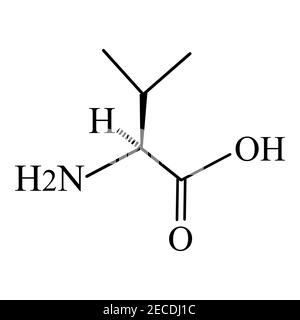 Valin-Aminosäure. Chemische Molekülformel der Valin-Aminosäure. Vektorgrafik auf isoliertem Hintergrund Stock Vektor