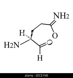 Die Aminosäure Glutamin. Aminosäure Glutamin chemische molekulare Formel. Vektorgrafik auf isoliertem Hintergrund Stock Vektor