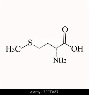 Methionin ist eine Aminosäure. Chemische Molekülformel der Methionin-Aminosäure. Vektorgrafik auf isoliertem Hintergrund Stock Vektor