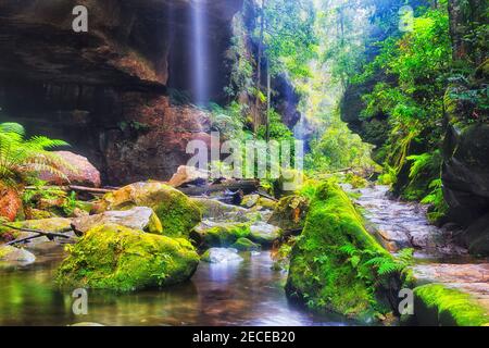 Tief im Grand Canyon der Blue Mountains in Australien bei heftigen Regenfällen mit hohen Wasserfällen, die hinunter zum Bach strömen. Stockfoto