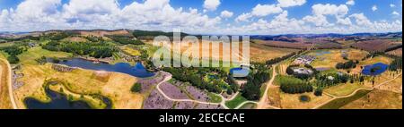 Luftpanorama der Landwirtschaft Ackerland in der Nähe von Oberon Stadt in Central Tablelands von NSW, australien, um Mayfield Garten. Stockfoto