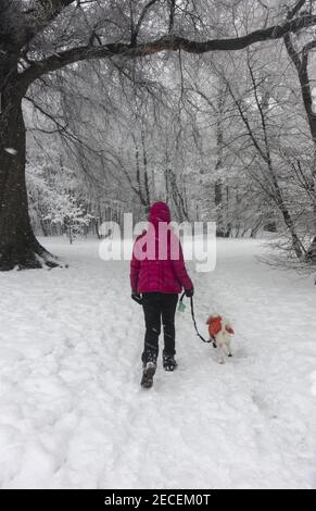 Frau geht mit ihrem Hund und genießt die Winterszene nach einem großen Schneesturm im Prospect Park, Brooklyn, New York. Stockfoto