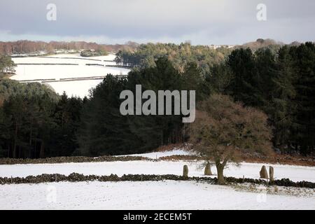 Neun Steine Schließen Steinkreis in einem Bauernfeld auf Harthill Moor in der Nähe von Winster in Derbyshire Stockfoto