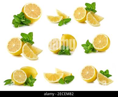 Zitrone und Bündel Minzblätter auf weiß isoliert gesetzt Hintergrund Stockfoto