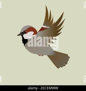 Haussperling fliegt. Auf hellgelbem Hintergrund ausschneiden Stock Vektor