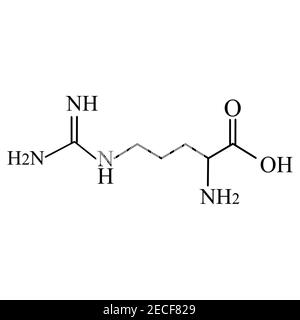 Arginin-Aminosäure. Chemische molekulare Formel Arginin Aminosäure. Vektorgrafik auf isoliertem Hintergrund Stock Vektor
