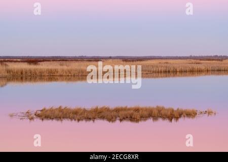 Abend und Sonnenuntergang über Teich und Feuchtgebiet, Spätherbst, Wisconsin, USA, von Dominique Braud/Dembinsky Photo Assoc Stockfoto