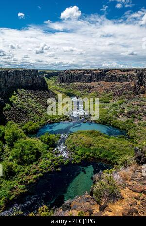 Das Earl Hardy Box Canyon Spings Nature Preserve ist eine der Einheiten des Thousand Springs State Park in Idaho. Die 11th größten in Nordamerika, Wasser Stockfoto