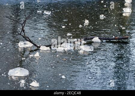 Eissplitter und ein gefallener Ast, der auf dem liegt Oberfläche eines gefrorenen Sees im eiskalten Winter Stockfoto