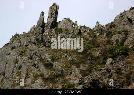 Kapiti Island, Neuseeland, Geomorphologie Stockfoto