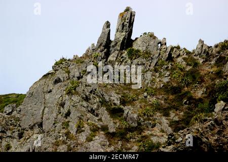 Kapiti Island, Neuseeland, Geomorphologie Stockfoto