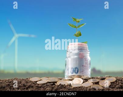 Türkisches Geld und junge Pflanze im Glas. Hintergrund von verwackelten Windrosen und blauem Himmel Stockfoto