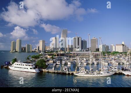 Bayside Marketplace und Miami Skyline, Miami, Florida, USA Stockfoto