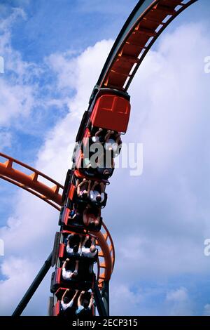 Roller Coaster, Busch Gardens, Tampa, Florida, USA Stockfoto