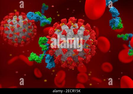 Aktivierter Antikörper bekämpft Covid-19-Coronavirus um rote Blutkörperchen 3D Illustration isometrische Ansicht Stockfoto