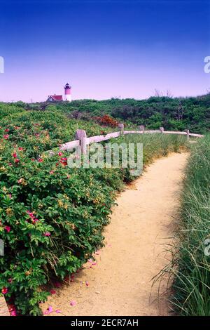 Pfad mit Leuchtturm in der Ferne, Nauset Leuchtturm, Cape Cod, Massachusetts, USA Stockfoto