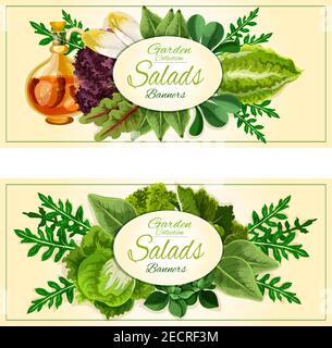 Salat Gemüse und Gemüse Banner mit grünen sappy Blätter von Salat, Kohl, Spinat, Rucola, Brunnenkresse, Eisberg, Endive, Mangold, Grünkohl mit i gesetzt Stock Vektor
