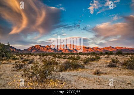 Altocumulus Wolken, Little Maria Berge, Mojave Wüste, bei Sonnenaufgang, Blick vor Rice Midland Road, Kalifornien, USA Stockfoto