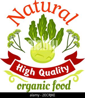 Natürliches organisches Kohlrabi Poster. Hochwertige Vektor-Gemüse-Symbol für vegetarische Produkt Aufkleber, Lebensmittelgeschäft, Hofladen, Verpackung und Werbung Stock Vektor