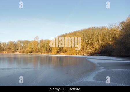 Blick auf Bäume im Sonnenlicht bei Tagesbeginn am Ufer Grube Fernie im Februar 2021 Stockfoto