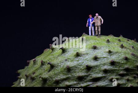 Miniatur alten Menschen auf grünen Obst-Oberfläche. Altes Paar, das auf grüner Textur läuft. Soursop Haut Makro Foto mit älteren Paar. Verkostung tropischer Früchte Stockfoto