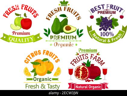 Beste frische saftige Früchte. Vektor-Symbole von Apfel, Avocado, Traube, Kirsche, Orange, Granatapfel für Saft Flasche Aufkleber, Lebensmittelgeschäft, Hofladen Etikett, Packa Stock Vektor