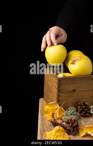 Ansicht der Frauenhand mit einem gelben Apfel in einer Holzkiste mit Herbstmotiven und schwarzem Hintergrund, selektiver Fokus, auf Holztisch, vertikal Stockfoto