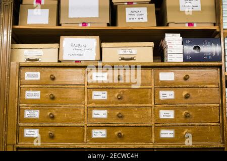 Wien Mariahilfer Straße, Bandagist Anderle Stockfoto